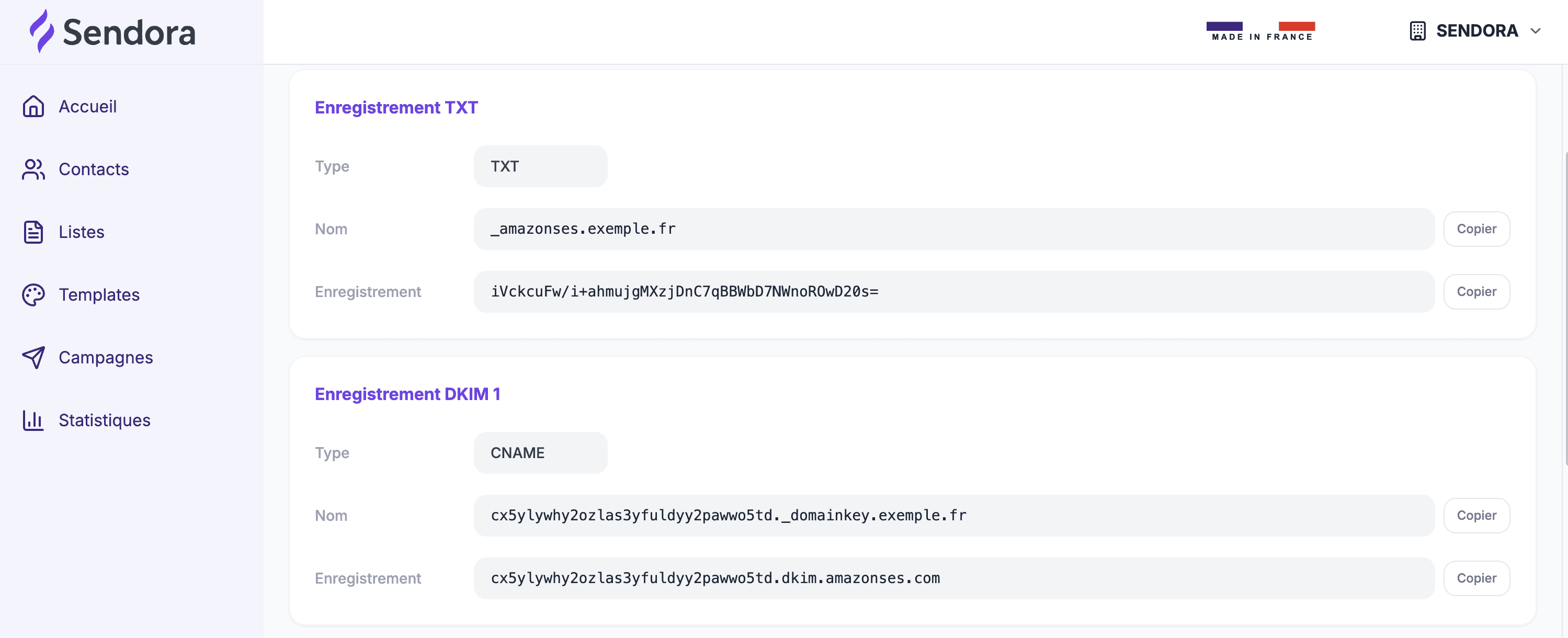 The DNS records to copy in Sendora